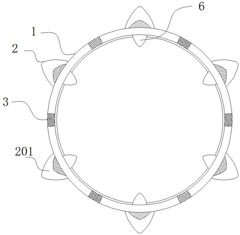 Biliary stent with a positioning structure for hepatobiliary pancreatic surgery