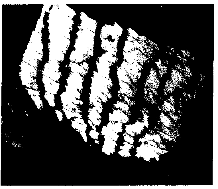 Method for preparing step standard sample of nano-scale oxide crystalloid with high precision