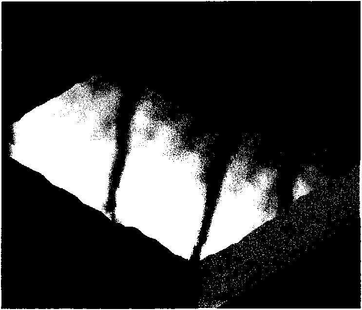 Method for preparing step standard sample of nano-scale oxide crystalloid with high precision