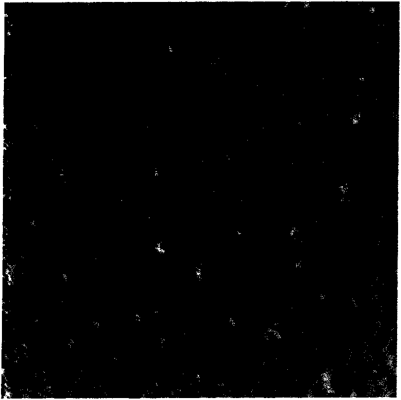 Method for preparing step standard sample of nano-scale oxide crystalloid with high precision