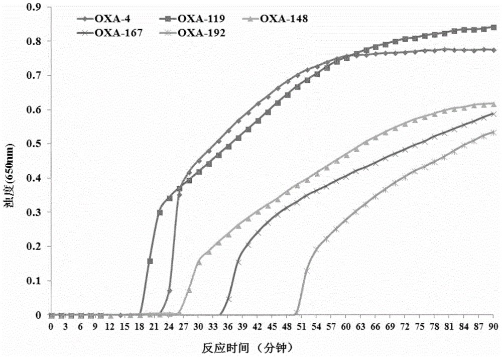 LAMP (loop-mediated isothermal amplification) kit for detecting acinetobacter baumannii and special primers of LAMP kit