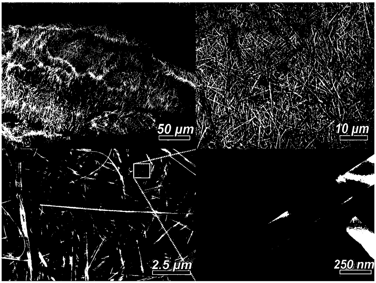 Mixed titanate nanoribbon supported metal palladium nanoparticle overall catalyst as well as preparation method and application thereof