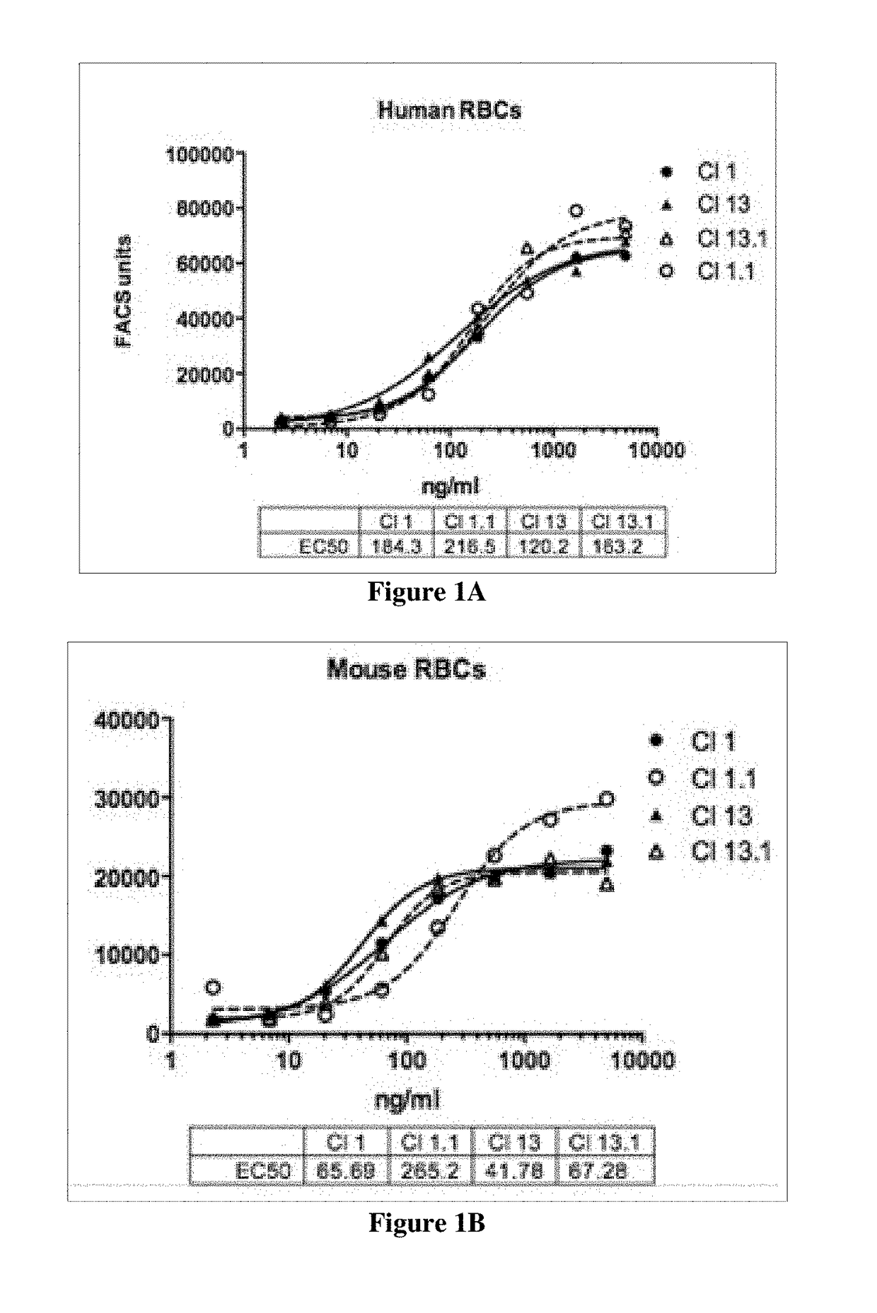 Therapeutic cd47 antibodies