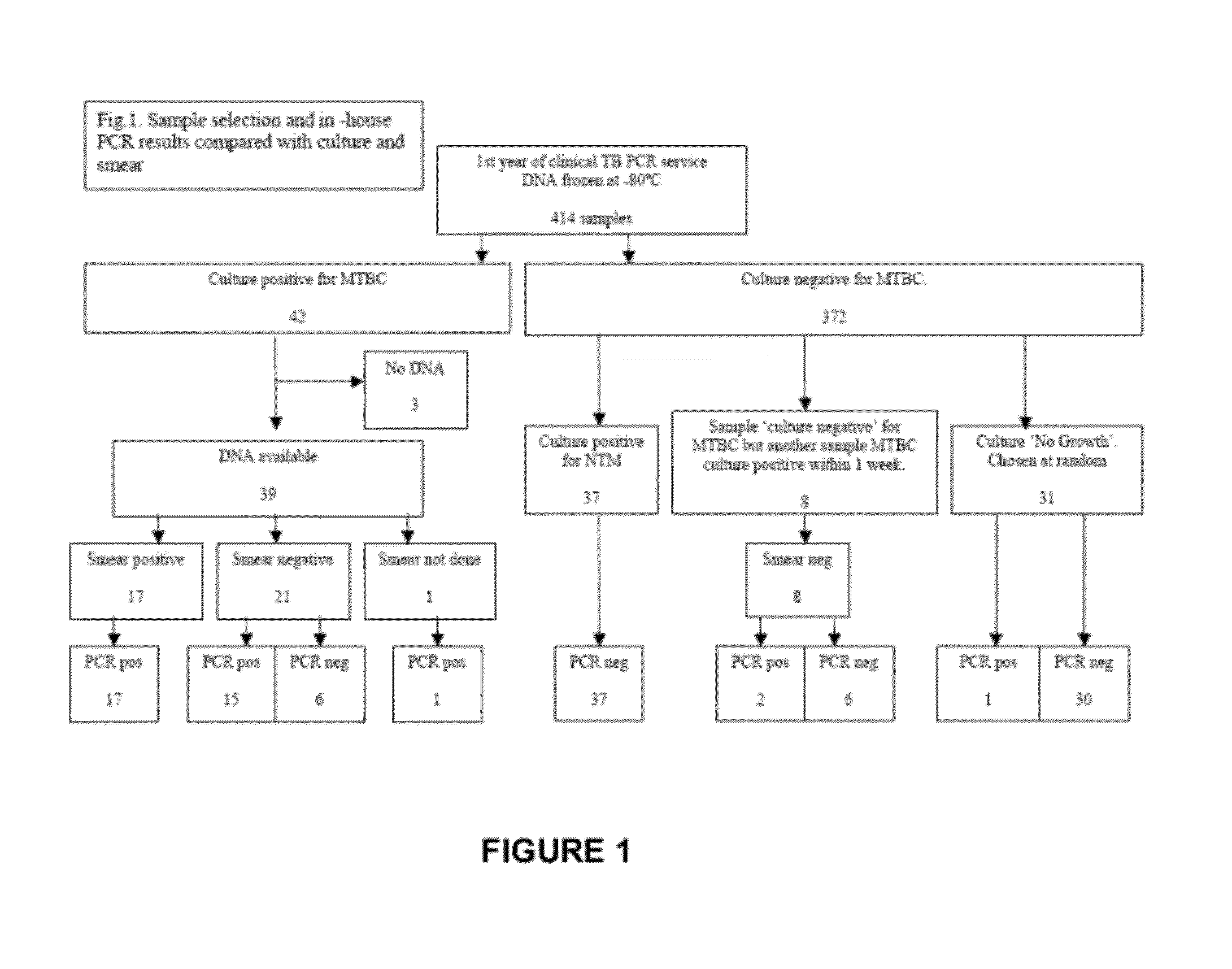 Method and/or primers for the detection of mycobacterium tuberculosis