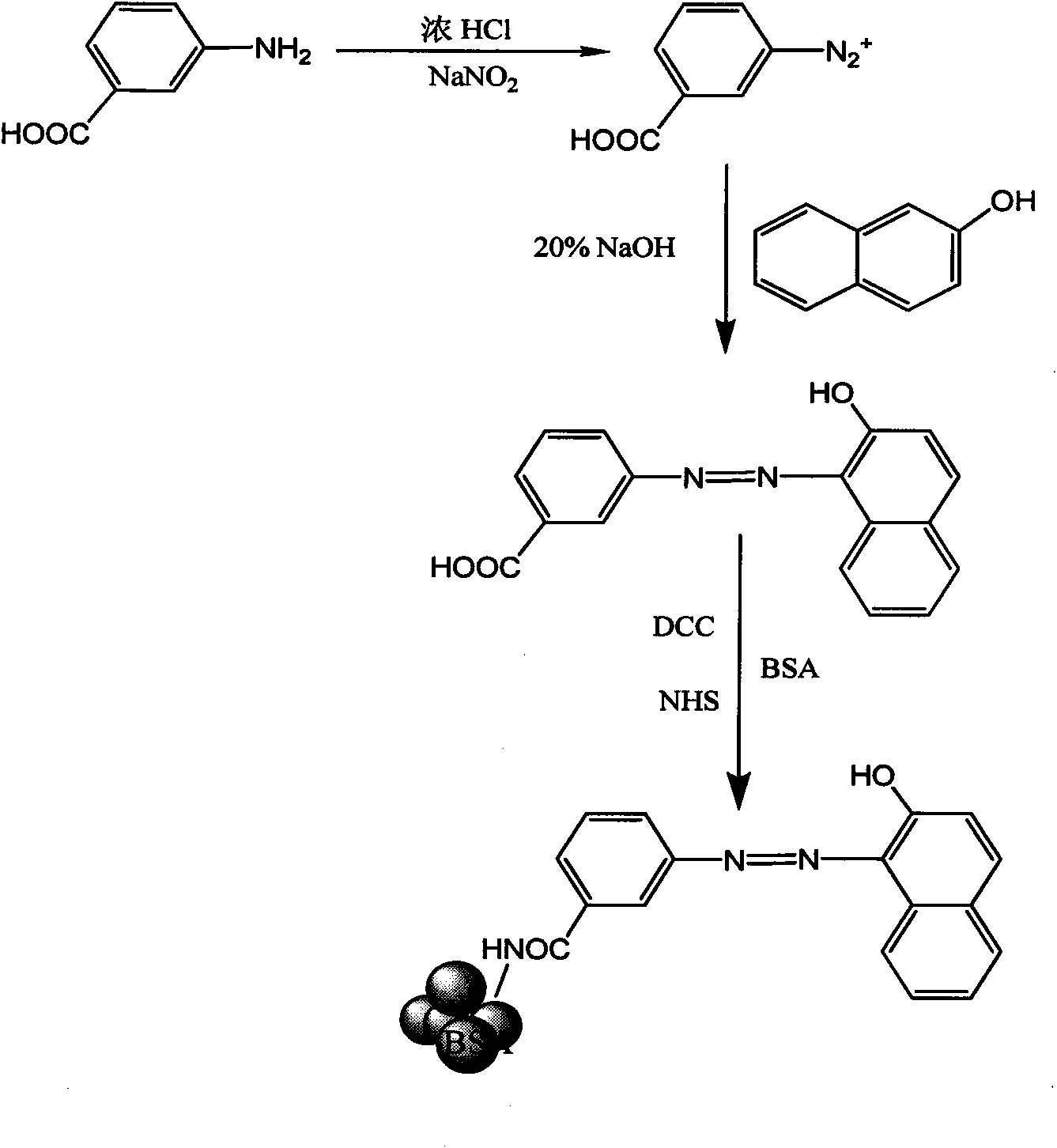 Sudan hapten and antigen as well as preparation method and application thereof