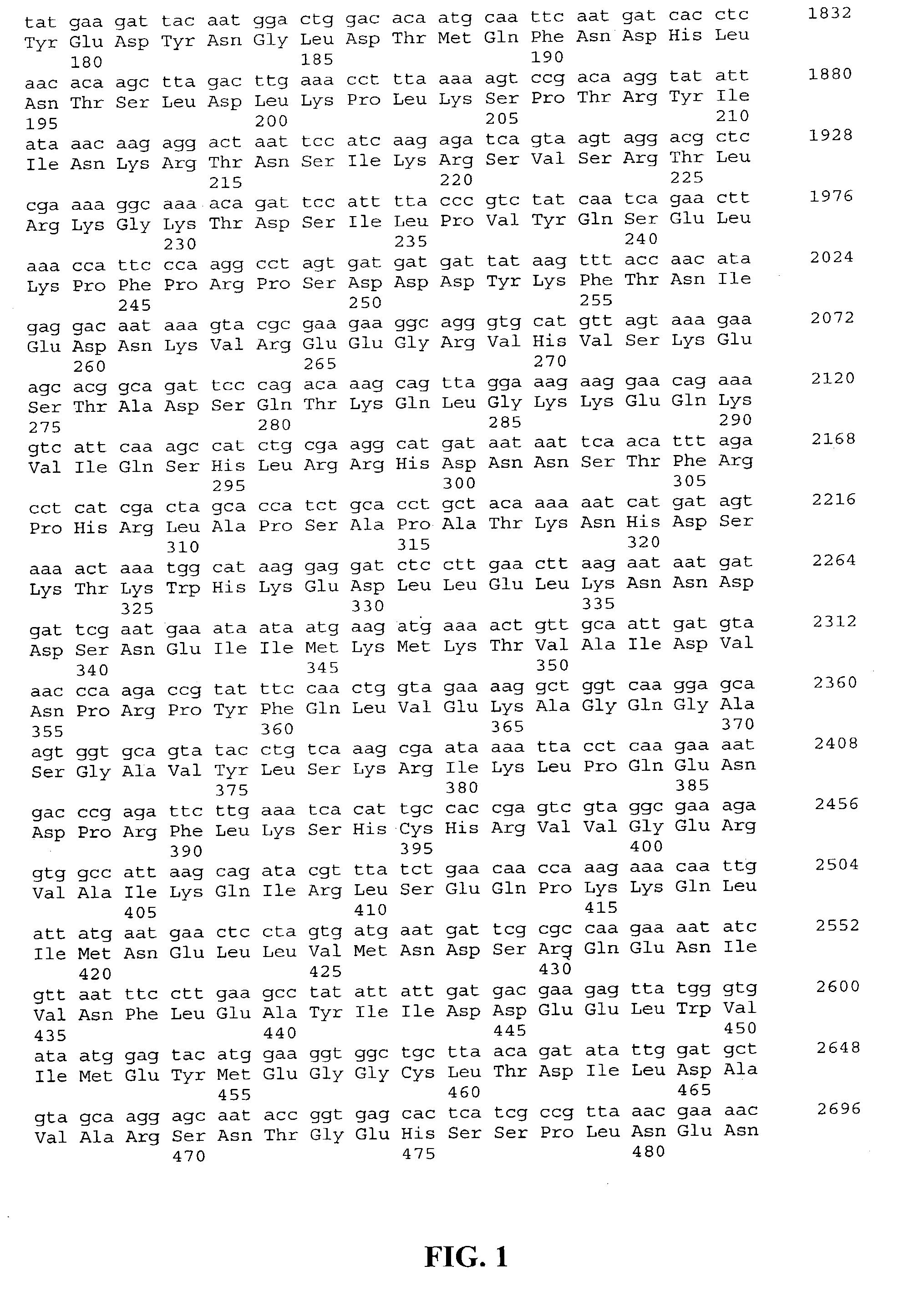 Methods of using glucan synthase pathway reporter genes to screen for antifungal compounds