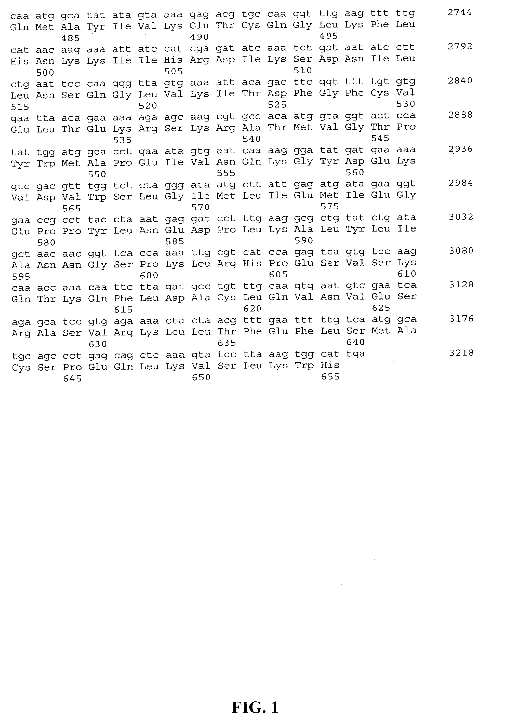 Methods of using glucan synthase pathway reporter genes to screen for antifungal compounds