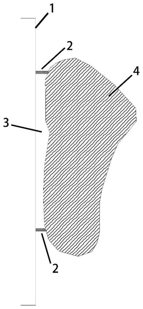 Method for quickly creating or repairing mangrove forest by constructing levee foot submerged dam