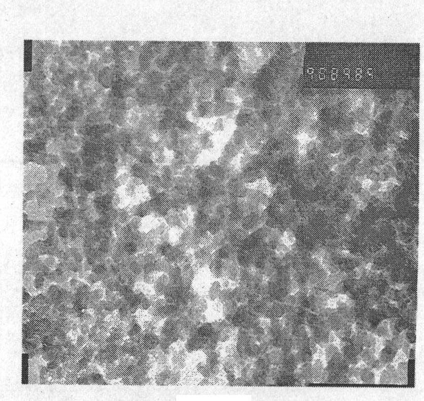 Preparation method of epoxidized natural rubber masterbatch with highly dispersed nano-silicon dioxide/carbon black