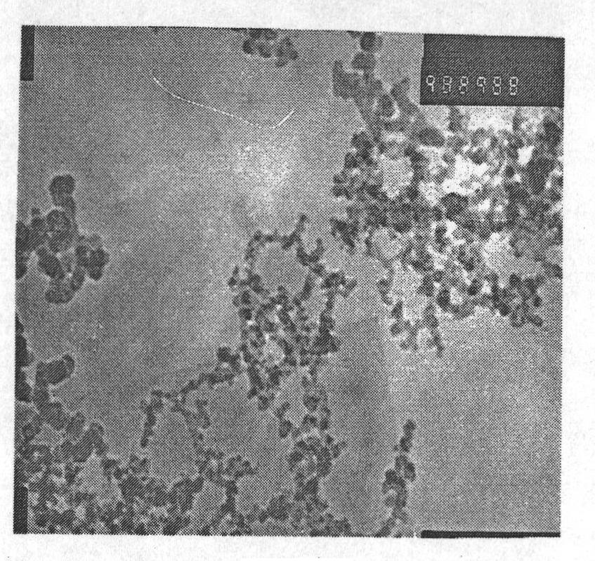 Preparation method of epoxidized natural rubber masterbatch with highly dispersed nano-silicon dioxide/carbon black