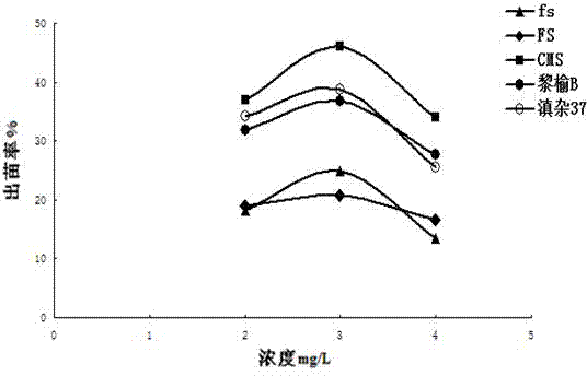 Method for breeding and regenerating plants from dormant buds of rice