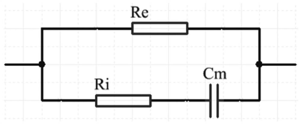 A flexible skin electrical impedance detection device and skin electrical impedance detection method