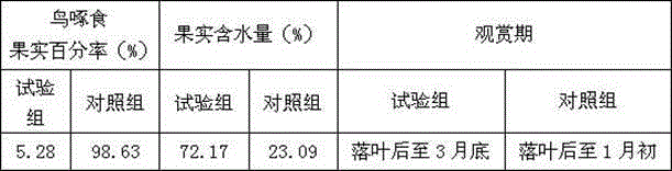 Ornamental Chinese flowering crabapple fruit ornamental period prolongation composition and method