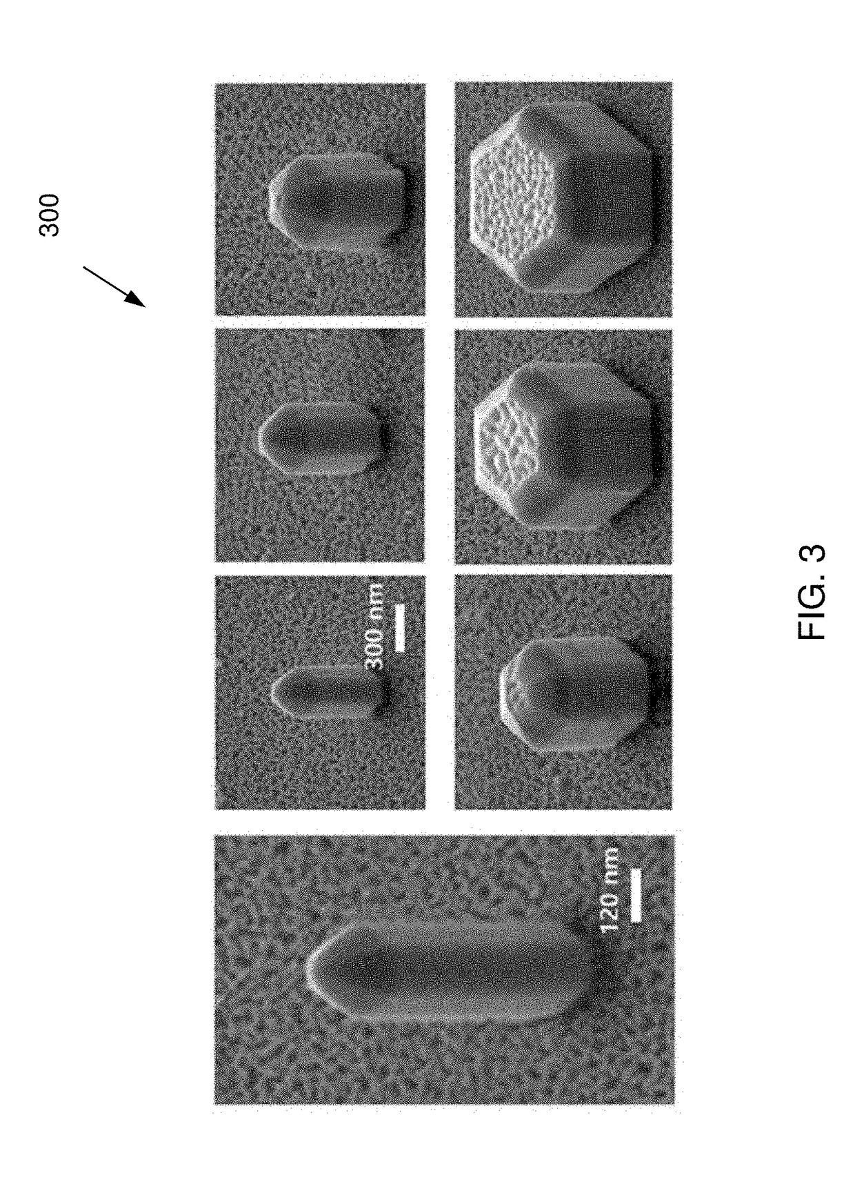 Monolithically Integrated InGaN/GaN Quantum Nanowire Devices