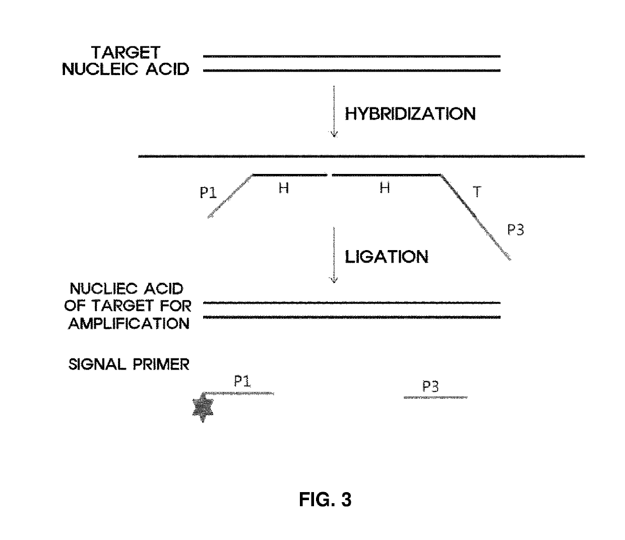 Method and apparatus for analyzing biomolecules by using oligonucleotide