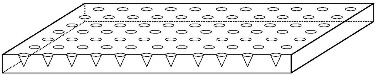 Microneedle template and preparation method and application thereof