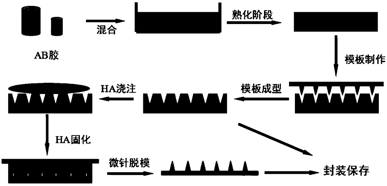 Microneedle template and preparation method and application thereof