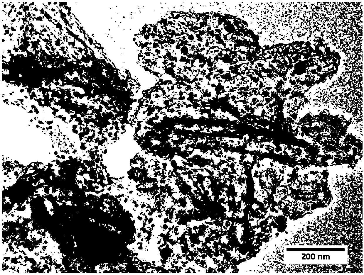 Preparation method of iron, cobalt and nitrogen co-doped hierarchical pore carbon nanosheet oxygen reduction catalyst