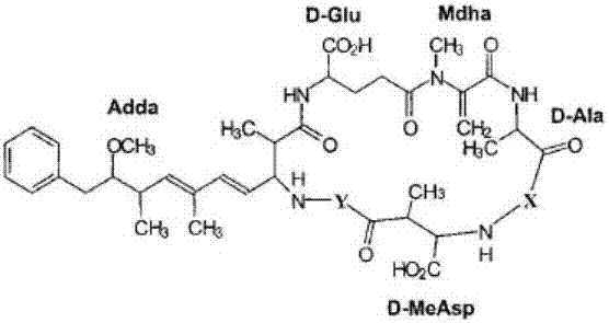 Microcystin-LR enzyme-linked immune detection kit