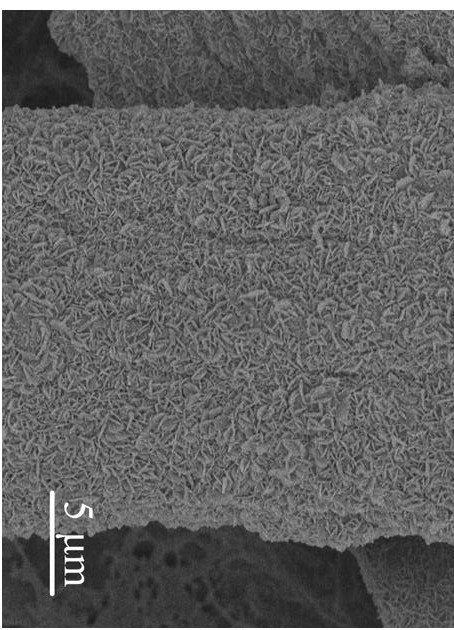 Preparation method of gold/copper selenide/cobalt-nickel layered double hydroxide composite paper