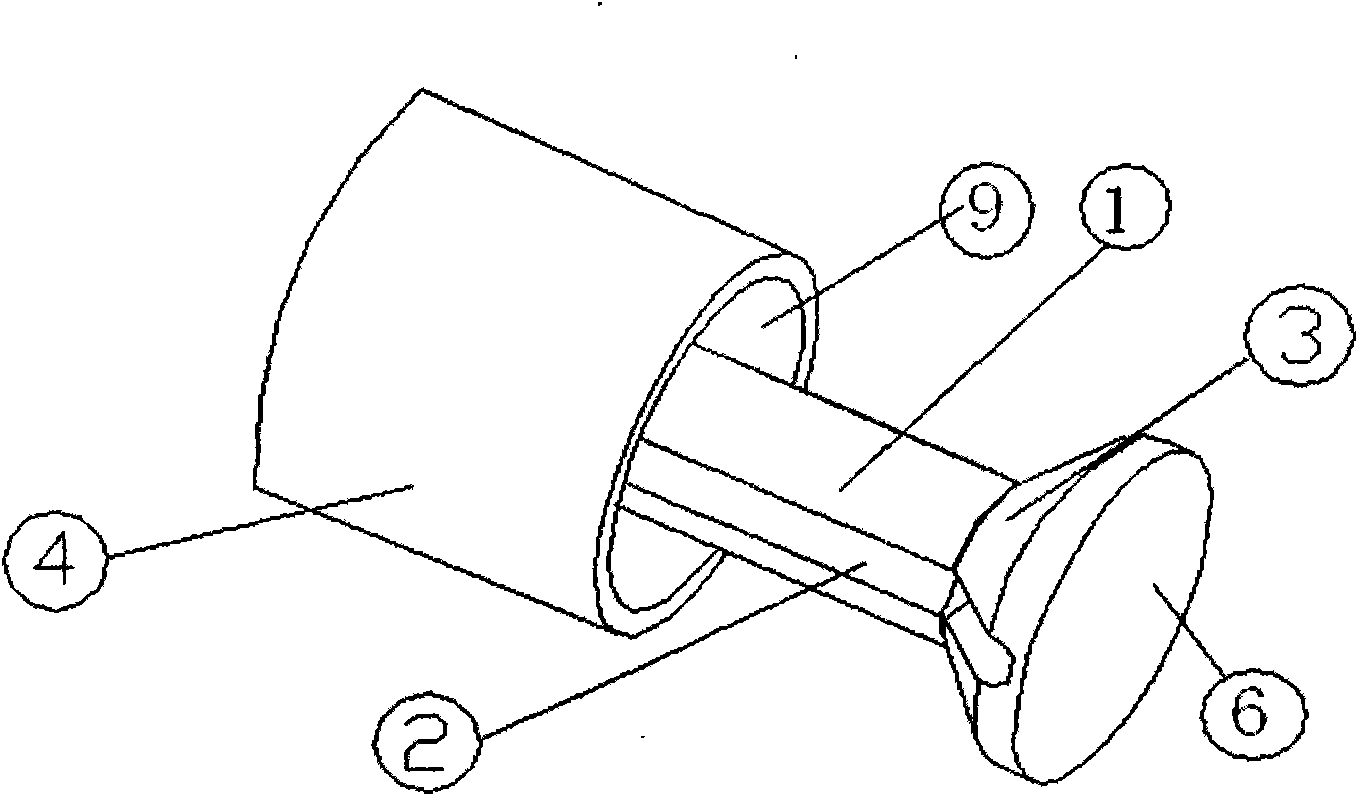 Injector for cellular assay