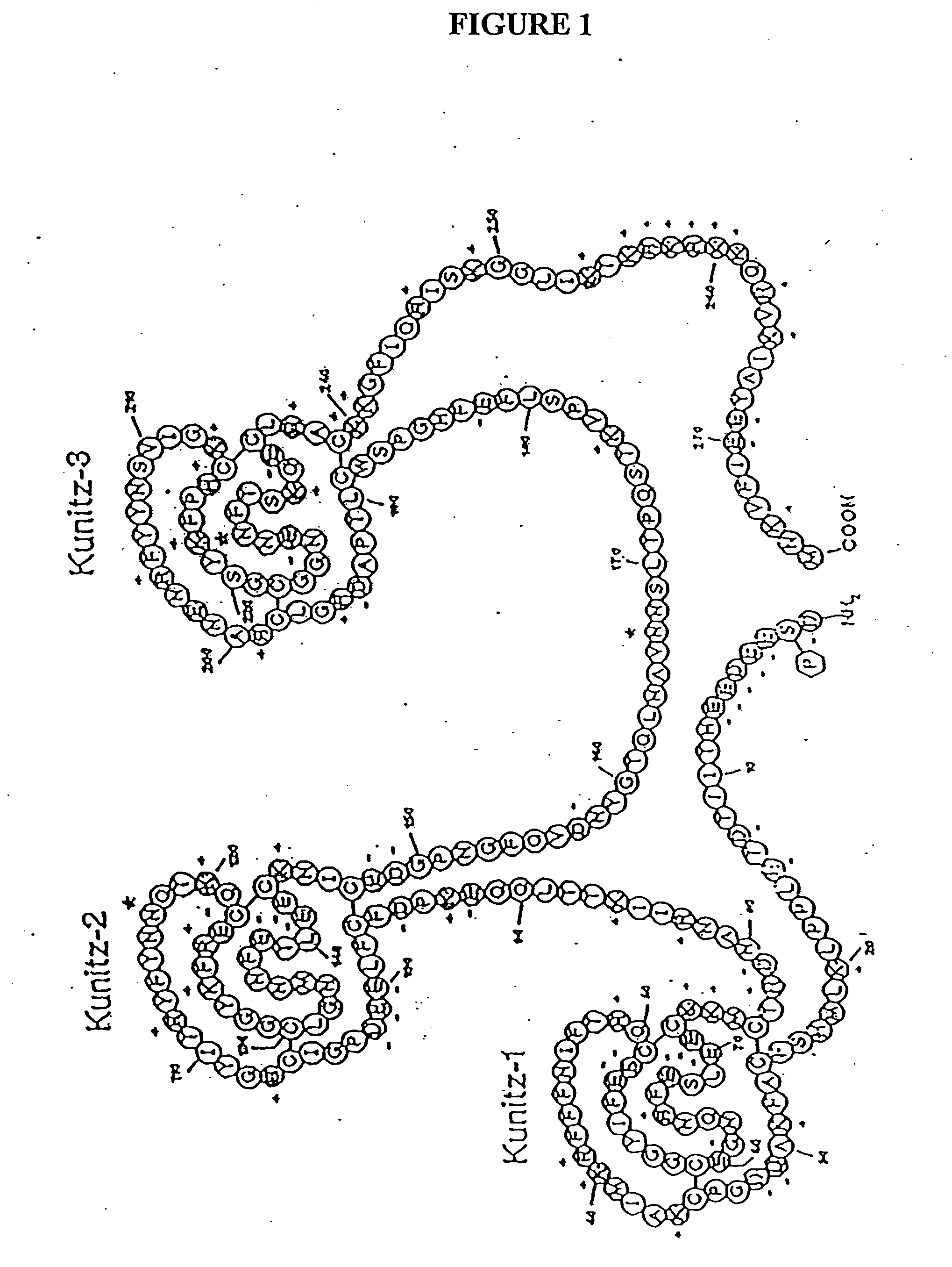 Compositions and methods for inhibiting cellular proliferation comprising TFPI fragments