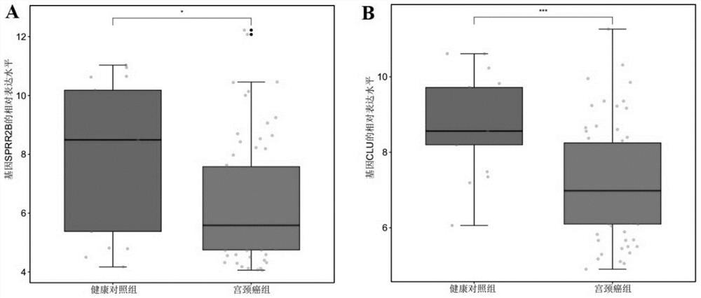 Gene marker for early cervical cancer screening and product and application thereof