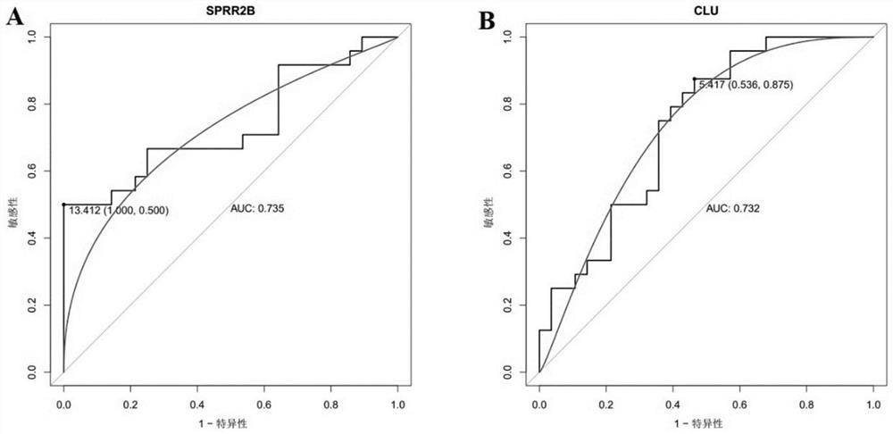 Gene marker for early cervical cancer screening and product and application thereof