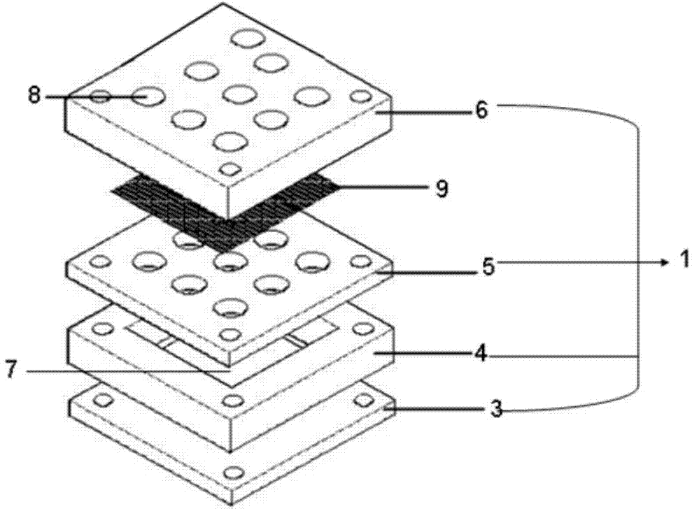 In-situ high flux culture apparatus for sea microbe