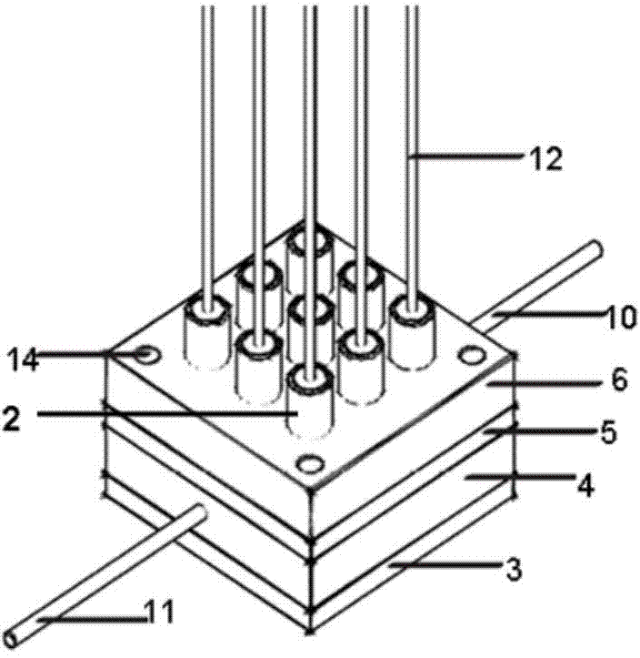 In-situ high flux culture apparatus for sea microbe