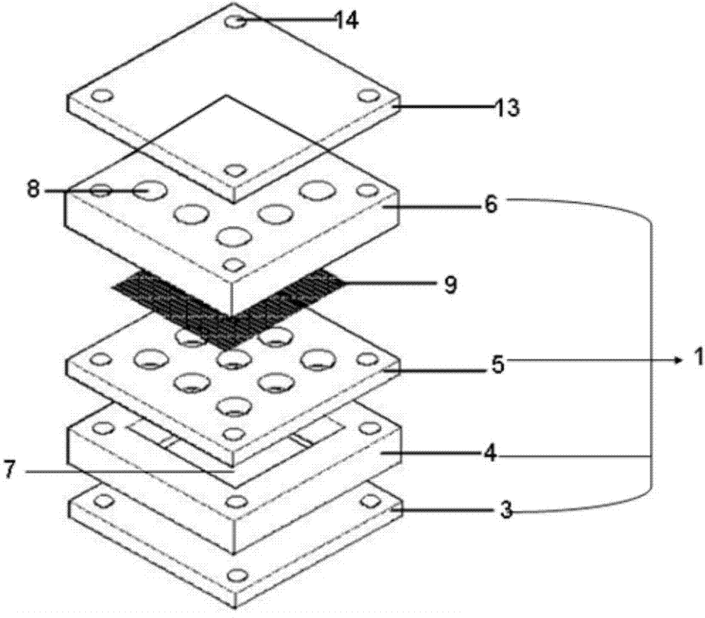 In-situ high flux culture apparatus for sea microbe