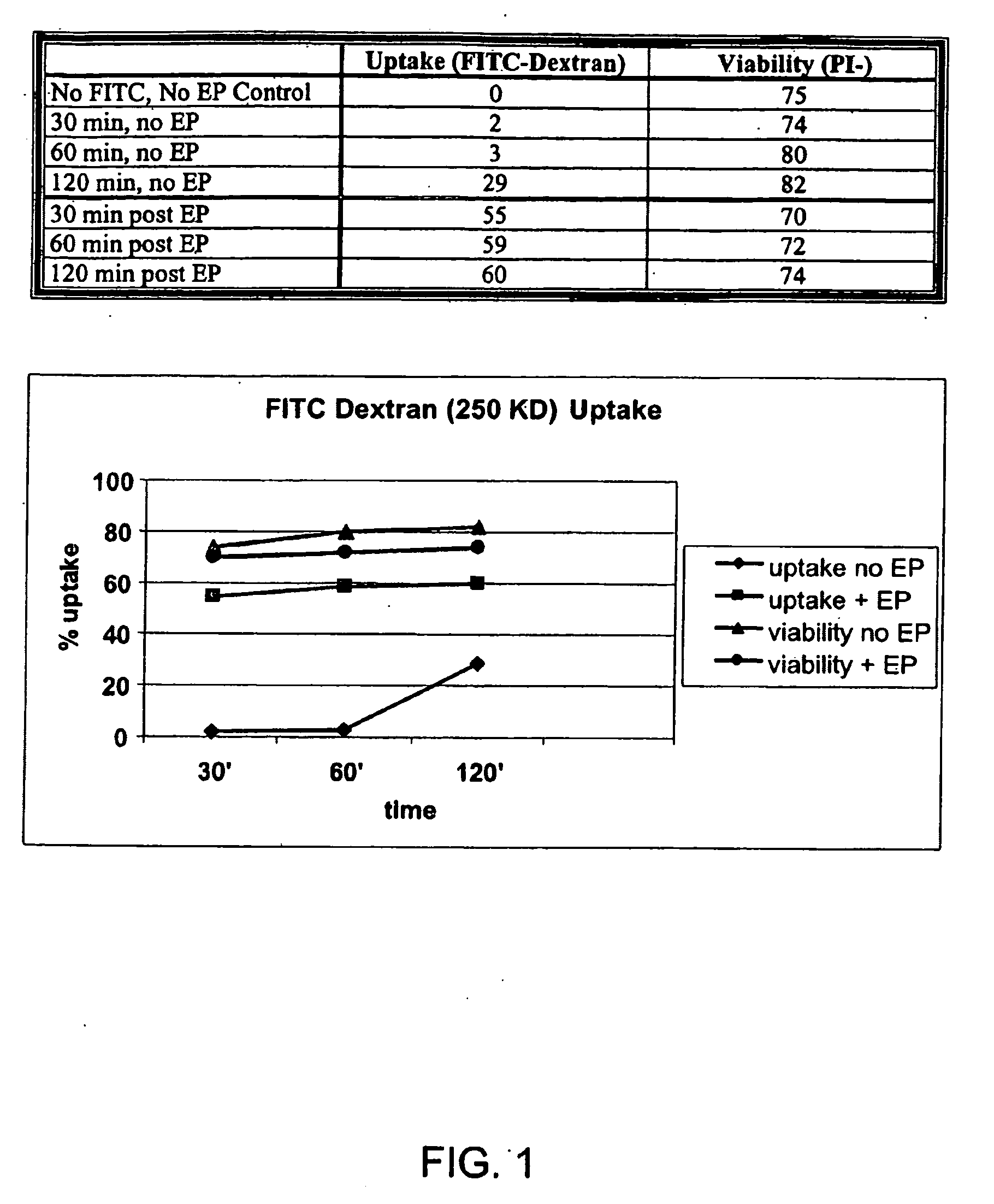 Loading of cells with antigens by electroporation