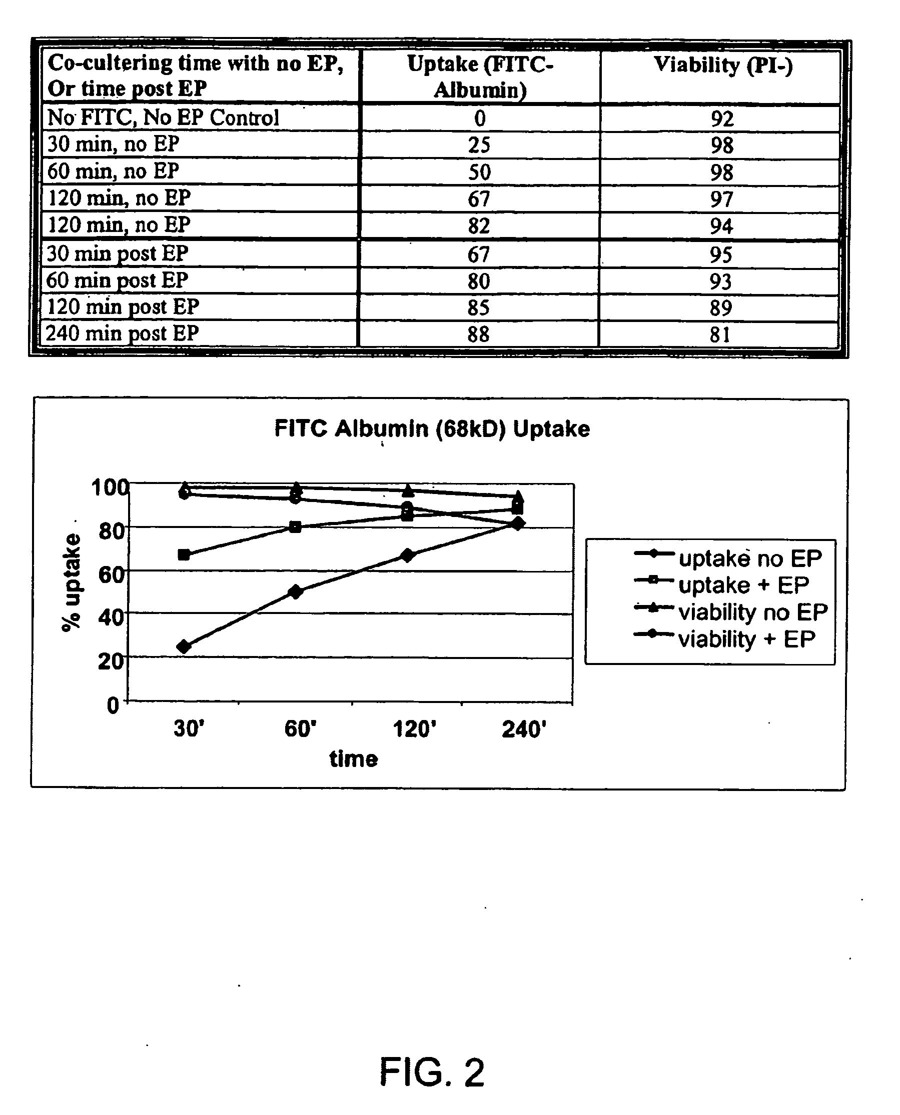 Loading of cells with antigens by electroporation