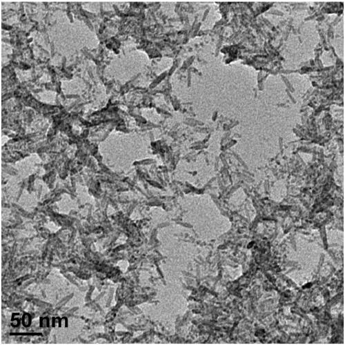 Preparation of small-sized hydroxyl iron oxide nanorod