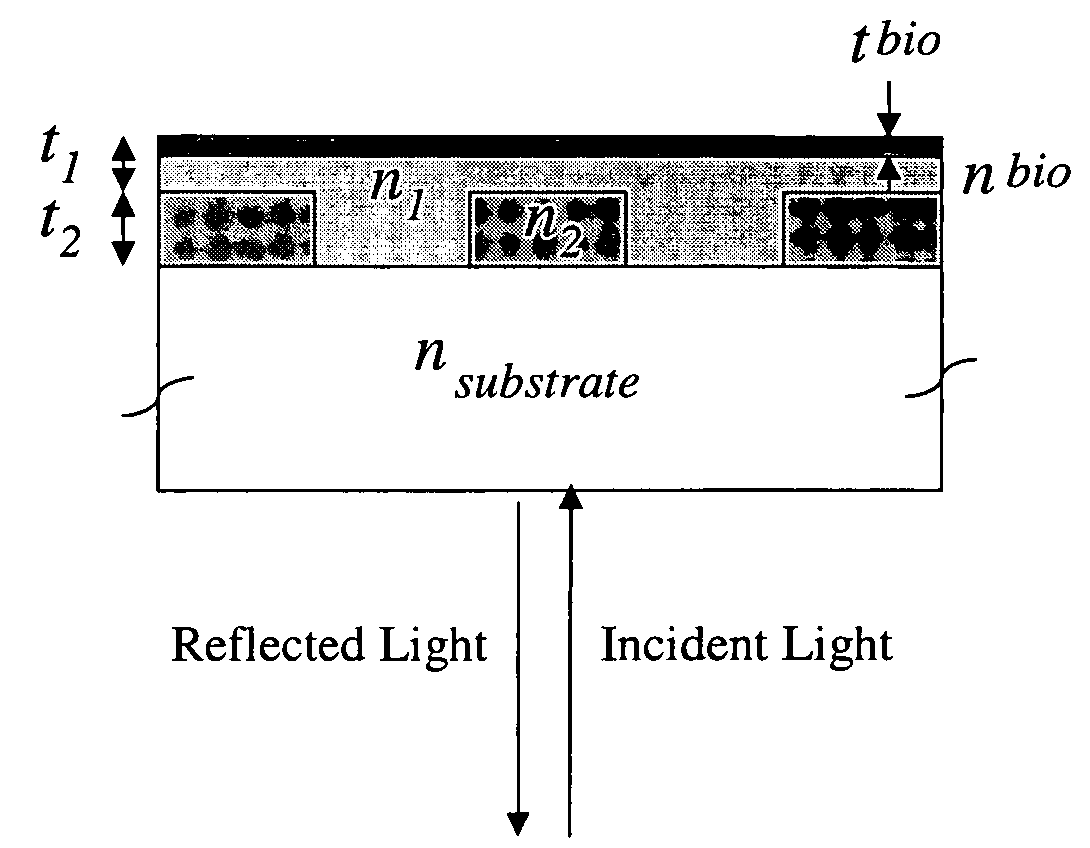 Label-free methods for performing assays using a colorimetric resonant reflectance optical biosensor