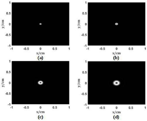 Optical system for generating controllable convergent vortex light beams