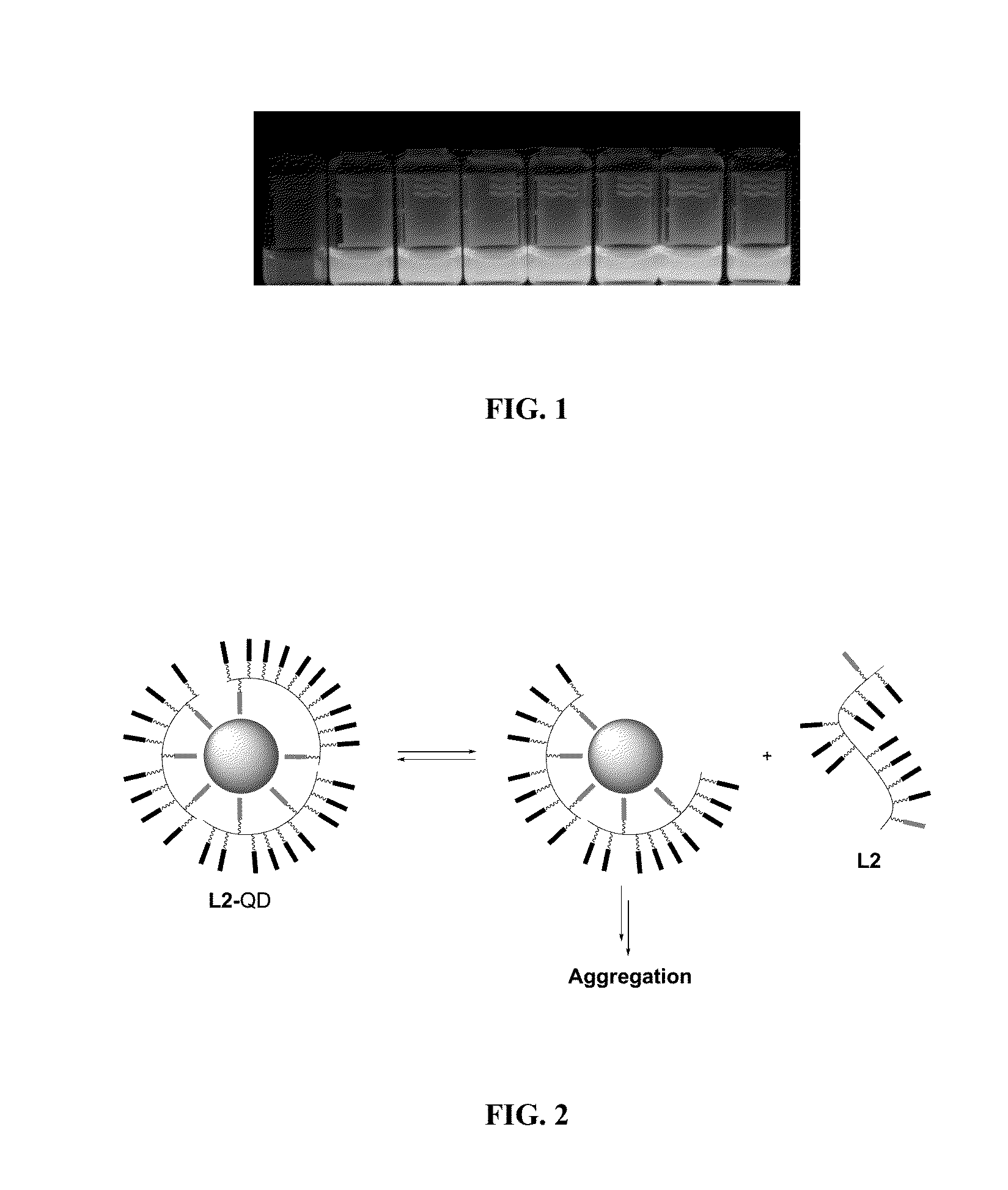 Enhanced affinity ligands