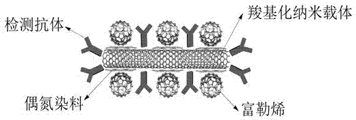 High-sensitivity fullerene photoelectric chemical probe and preparation method thereof