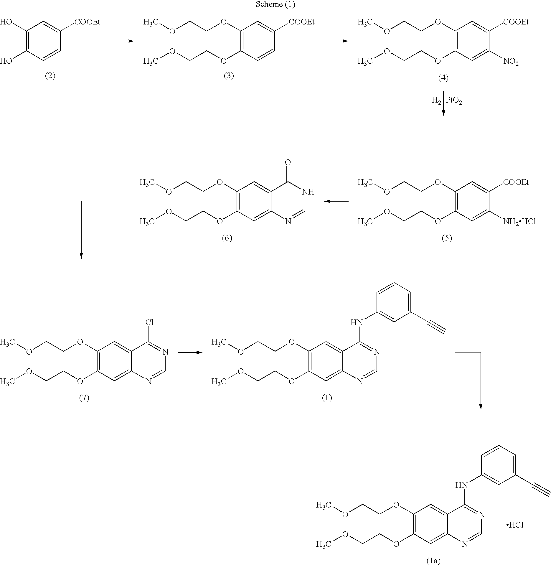 Novel process for the prepartion of erlotinib