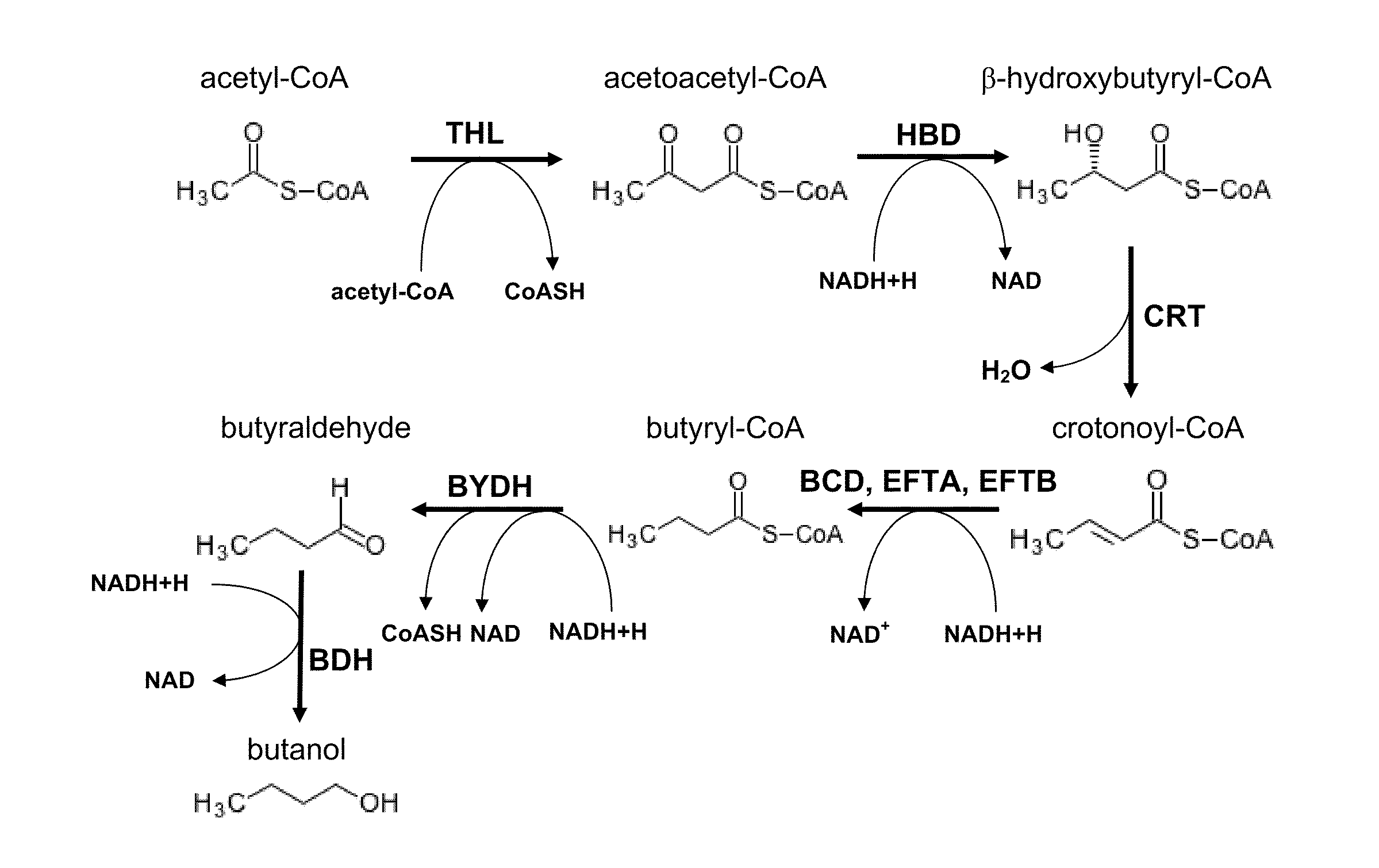 Methods for the production of n-butanol