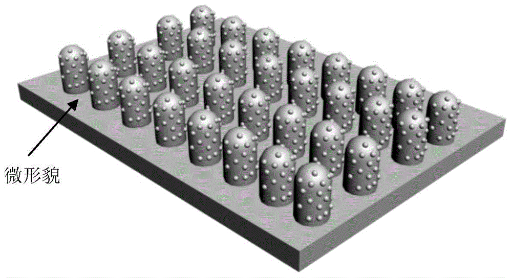 Preparation method of shape memory material capable of physically self-repairing superhydrophobic property