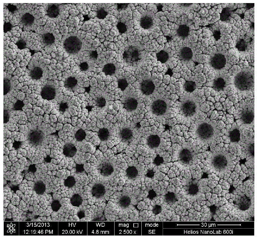 Preparation method of shape memory material capable of physically self-repairing superhydrophobic property