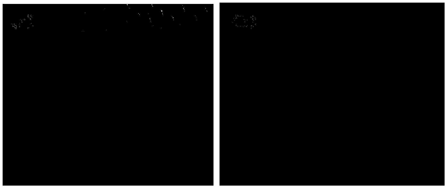 Novel antistatic white thermal control coating and preparation method thereof