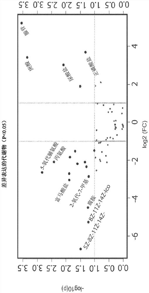 Uterine endometrial fluid for prediction of success in fertility treatment