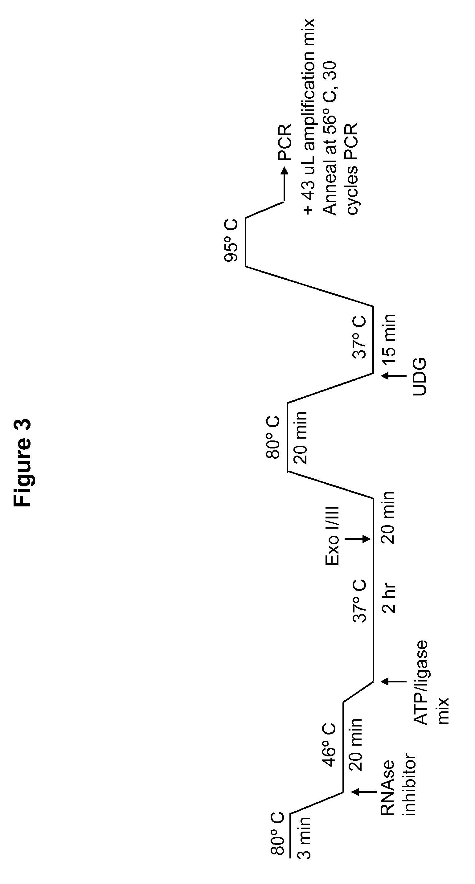 DNA ligation on RNA template