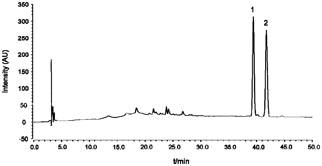 Costunolide, dehydrogenized costunolide, and function of derivative thereof in preparing protective medicine for preventing and treating anoxic cardiac muscle