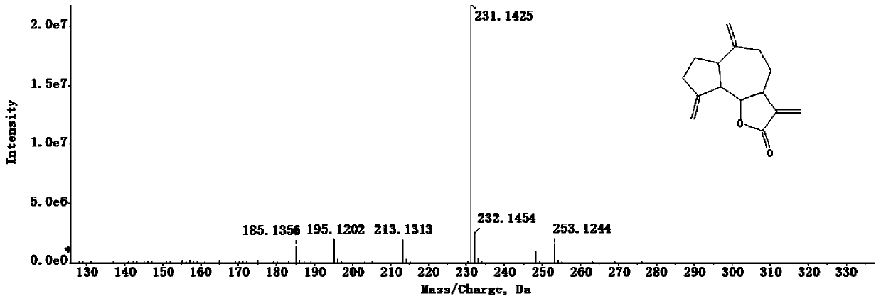 Costunolide, dehydrogenized costunolide, and function of derivative thereof in preparing protective medicine for preventing and treating anoxic cardiac muscle