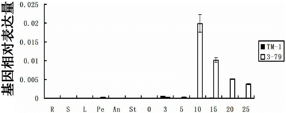 Cotton cell wall extensin gene gbeexpatr and its application