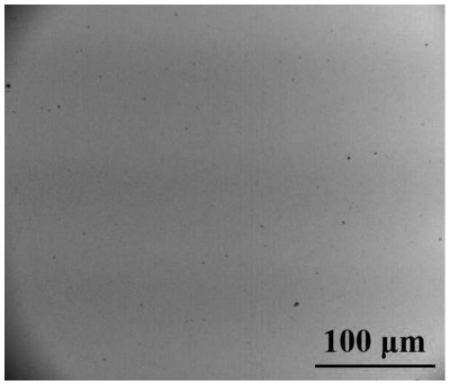 Molybdenum disulfide thin film gas sensitive material, preparation method and application