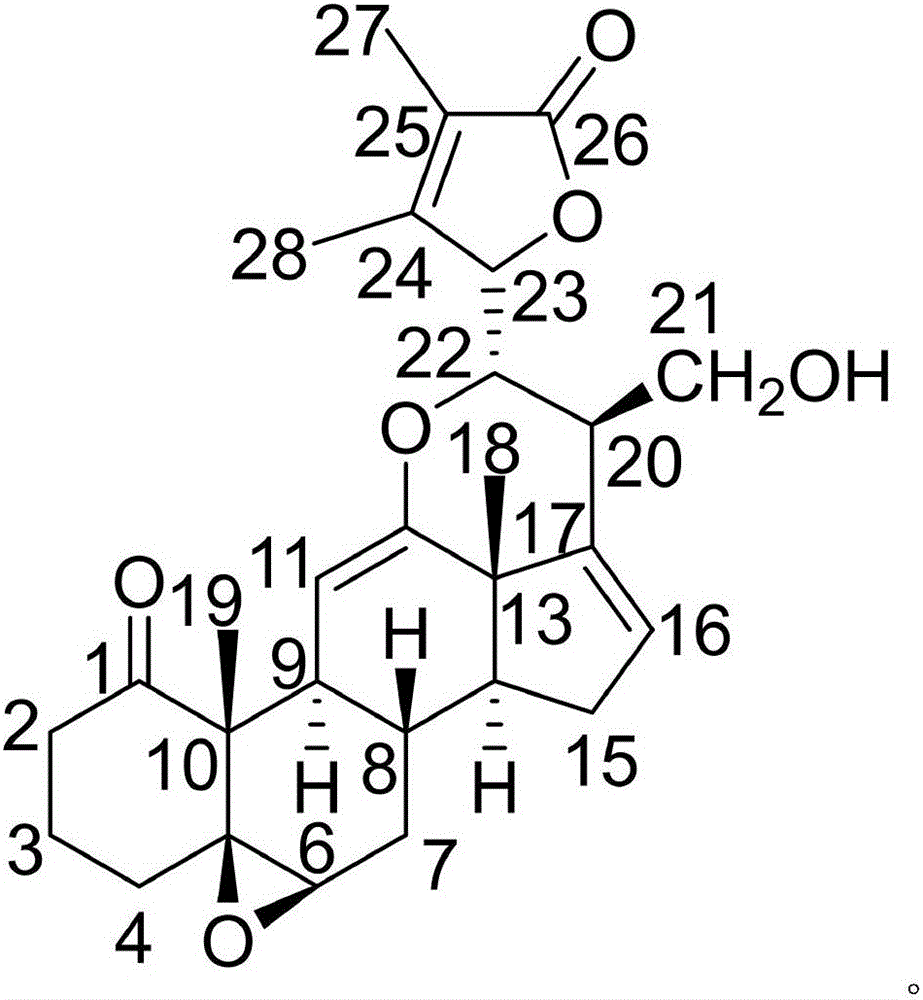 Pharmaceutical composition of carmustine and its application in biomedicine